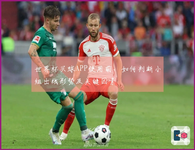世界杯买球APP使用前，如何判断小组出线形势及关键因素