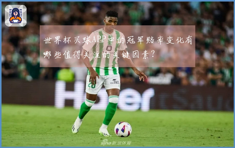 世界杯买球APP中的冠军赔率变化有哪些值得关注的关键因素？