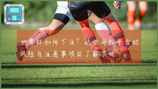 世界杯如何下注？这些海外平台的风险与注意事项你了解了吗