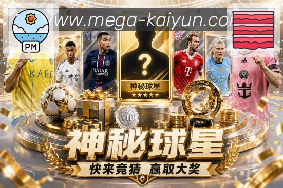 奖项4